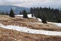 2014-02-08-13