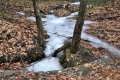 2014-02-08-19