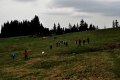 2015-05-01-05