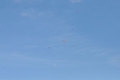 2016_04_30 XVII SLG (20)