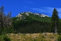 fot. G. Szczepaniak