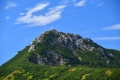 fot. G. Szczepaniak