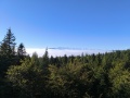 IMG_20251004_092654