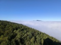 IMG_20251004_092802