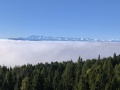 IMG_20251004_092820