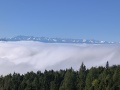IMG_20251004_093218