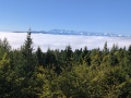 IMG_20251004_094008