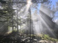 IMG_20251004_101008