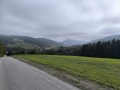 IMG_20251004_110149