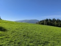 IMG_20251004_121727