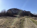 IMG_20260314_084921