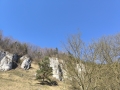 IMG_20260314_123204