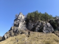 IMG_20260314_123325