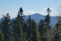 P1740947