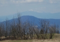 P1740951