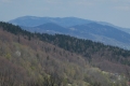 P1740976
