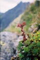 2004_08_29-10
