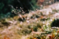 2004_09_26-03