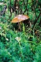 2004_09_26-04