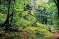 2004_09_26-06