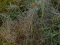 2004_09_26-08