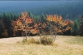 2004_10_24-02