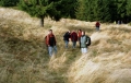 2004_10_24-11