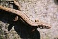 2005_04_24-04