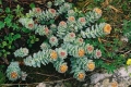 2005_06_19-04