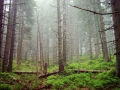 2005_06_19-13