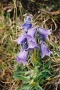 2005_07_23-05