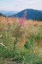 2005_08_07-09
