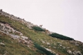 2005_08_27-09