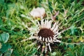 2005_09_25-14