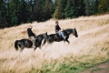 2005_10_09-02