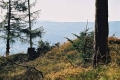 2005_10_09-07