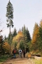 2005_10_22-00