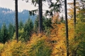 2005_10_22-01