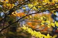 2005_10_22-02
