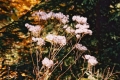2005_10_22-05