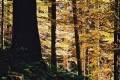 2005_10_22-06