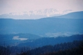 2006_04_23-08