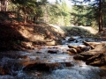 2006_04_23-10