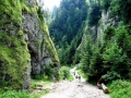 2006_07_08-04