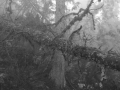 2006_08_26-00