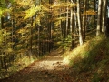 2006_10_21-00