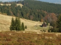2006_10_21-02