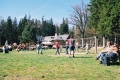 2007_04_22-16