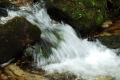 2007-06-16-02