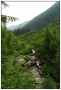 2007_07_21-04